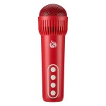 Kit de Karaoké pour Enfants - Boutique en ligne iServices