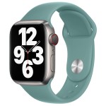 Bracelet en Silicone pour Apple Watch vert avec montre