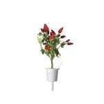 Piment Rouge Click & Grow dans une coupe de plantation