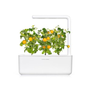 tomate jaune dans un smart garden