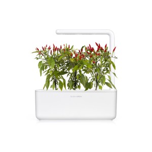 piri-piri dans un smart garden