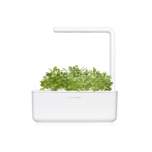 cresson de jardim dans un smart garden