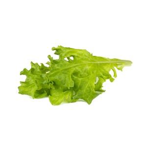 Laitue à feuilles de chêne Click & Grow