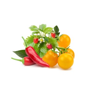 Mélange de Fruits et Légumes Click and Grow