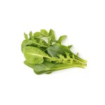 Mélange pour Salade Click and Grow
