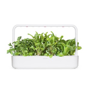 Mélange pour Salade Click and Grow dans un smart garden