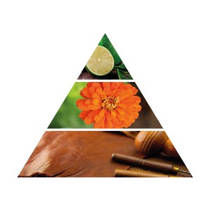 Pyramide olfactive d'Huile Essentielle pour Diffuseur Turquesa
